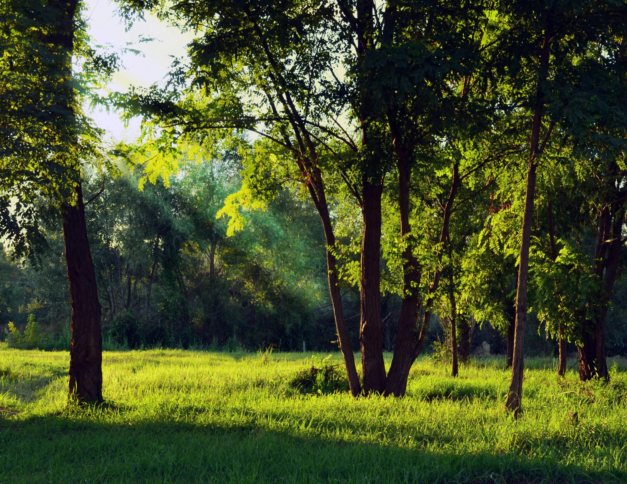 Impact Investing: Capital for Real Change